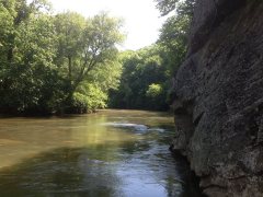 The Dan River